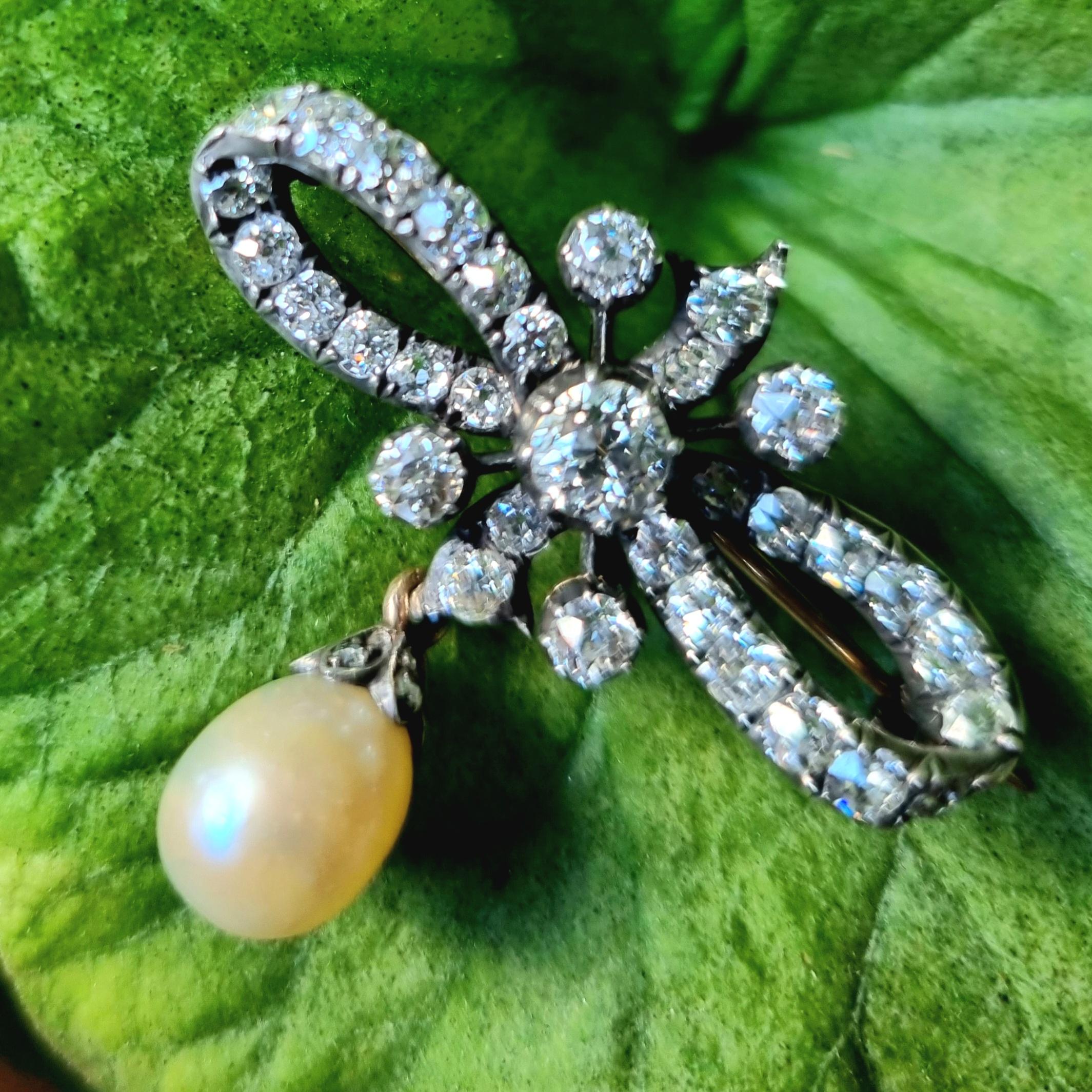 Old European Cut Certified Natural Pearl and  Diamond Bow  Brooch 19th Century For Sale