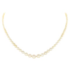 Certified Natural Salt Water Pearl Necklace