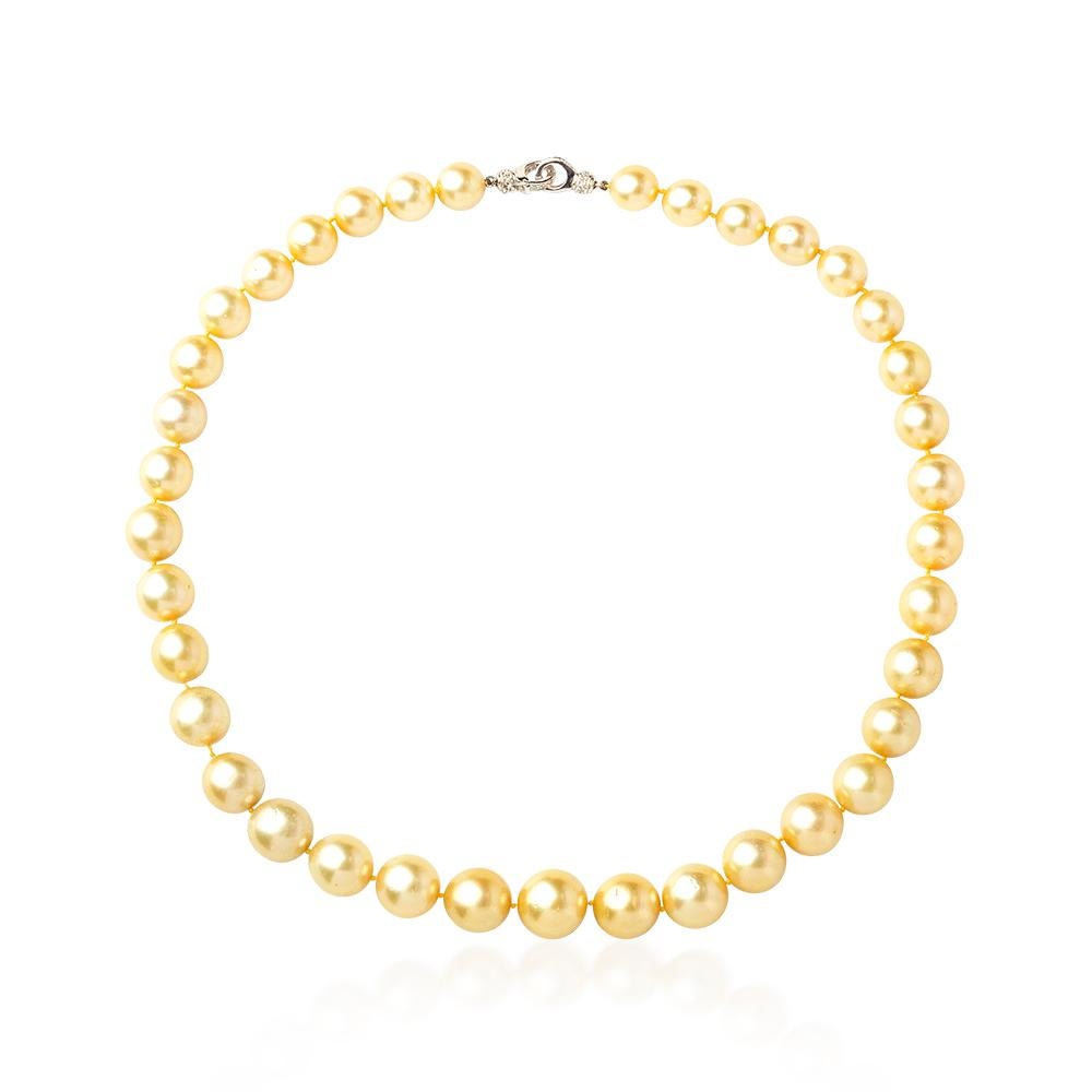 Modern Certified Natural Southsea Gold Pearl Necklace