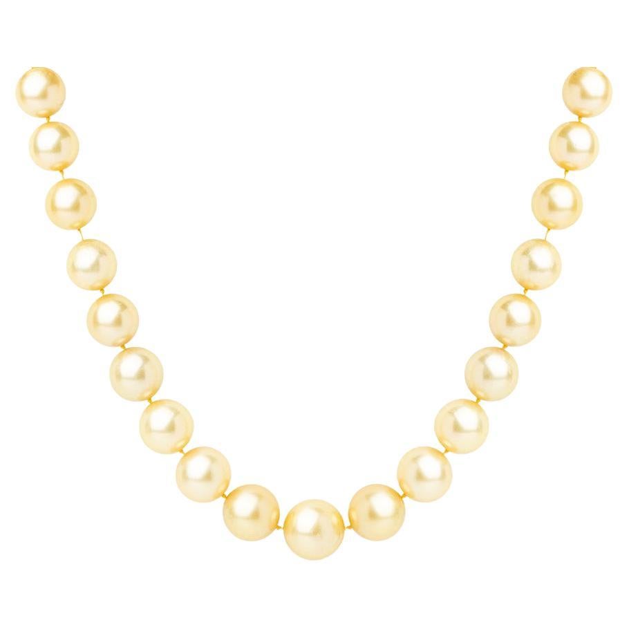 Certified Natural Southsea Gold Pearl Necklace