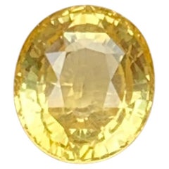 Certified Natural Yellow Sapphire 2.00 Carat Oval Cut Loose Gemstone for Ring