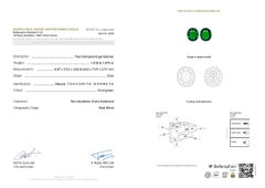 Orecchino ovale con tsavorite e diamanti certificati in oro bianco 18 carati