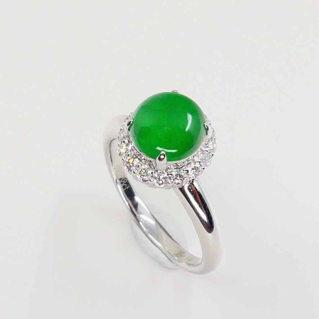Certified Type A Icy Apple Green Jadeite Jade and Diamond Ring, Super Glow For Sale 5