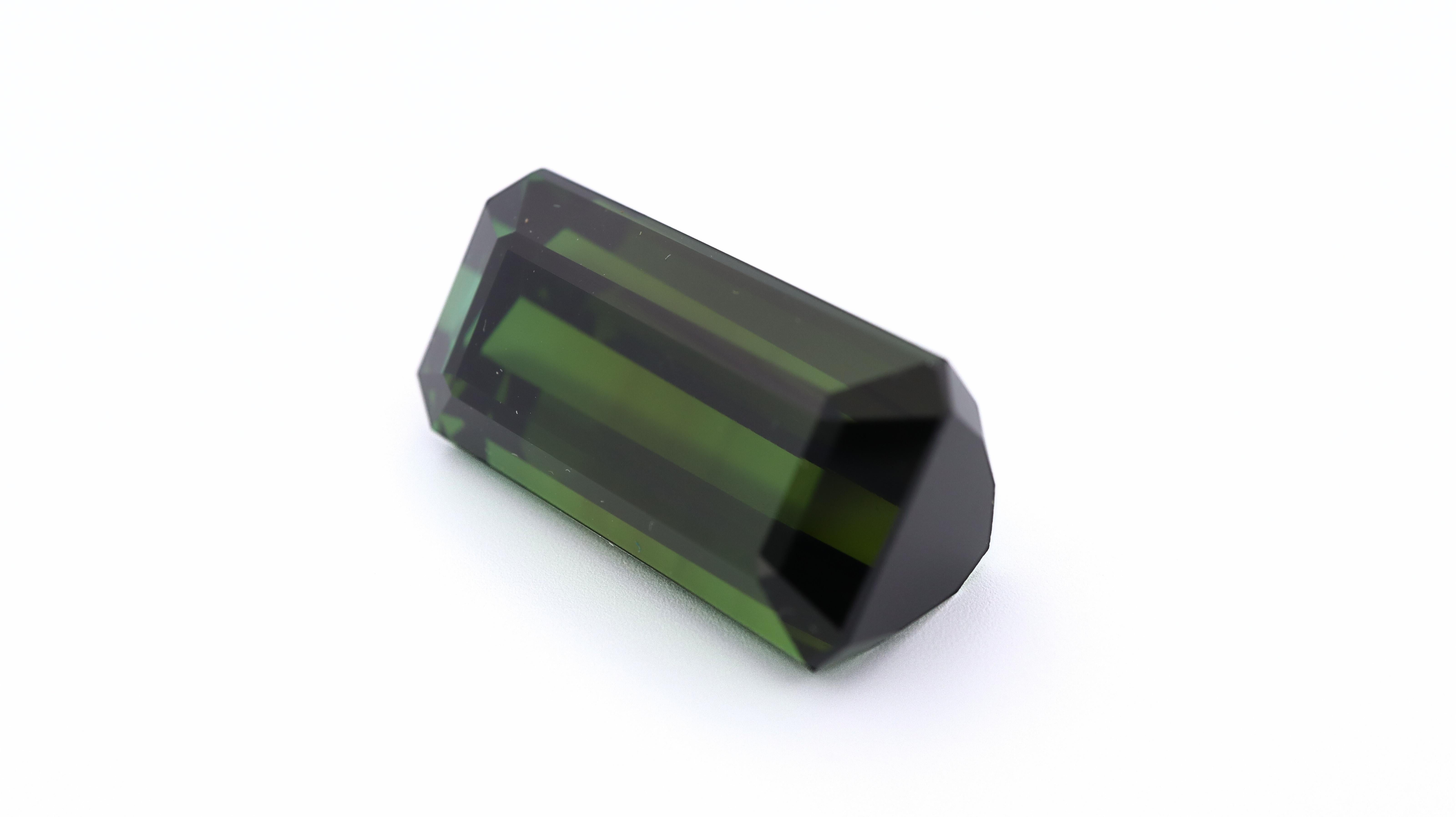 Certified Vivid Green Tourmaline - 24.82ct In New Condition For Sale In Antwerpen, BE