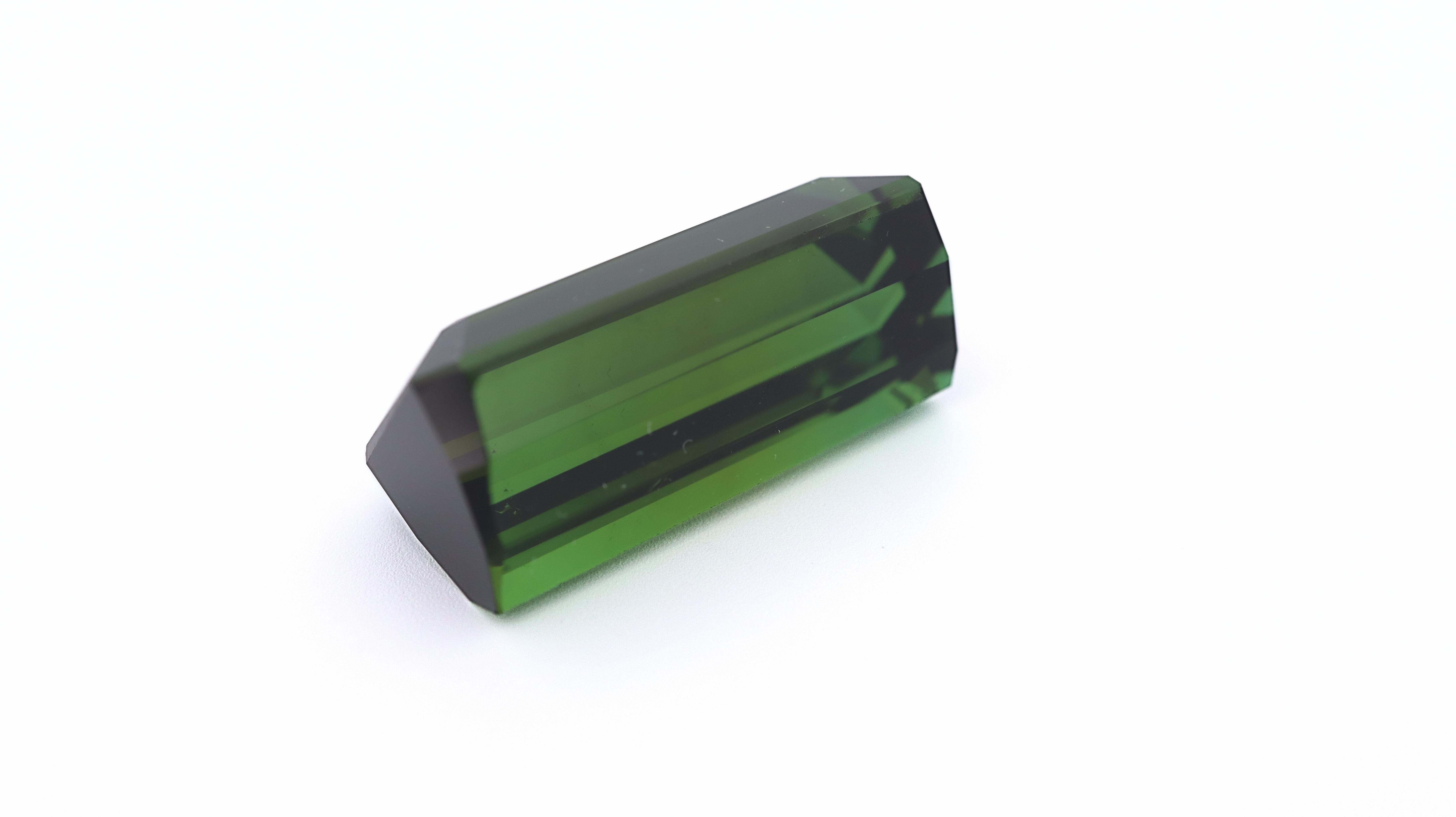 Women's or Men's Certified Vivid Green Tourmaline - 24.82ct For Sale