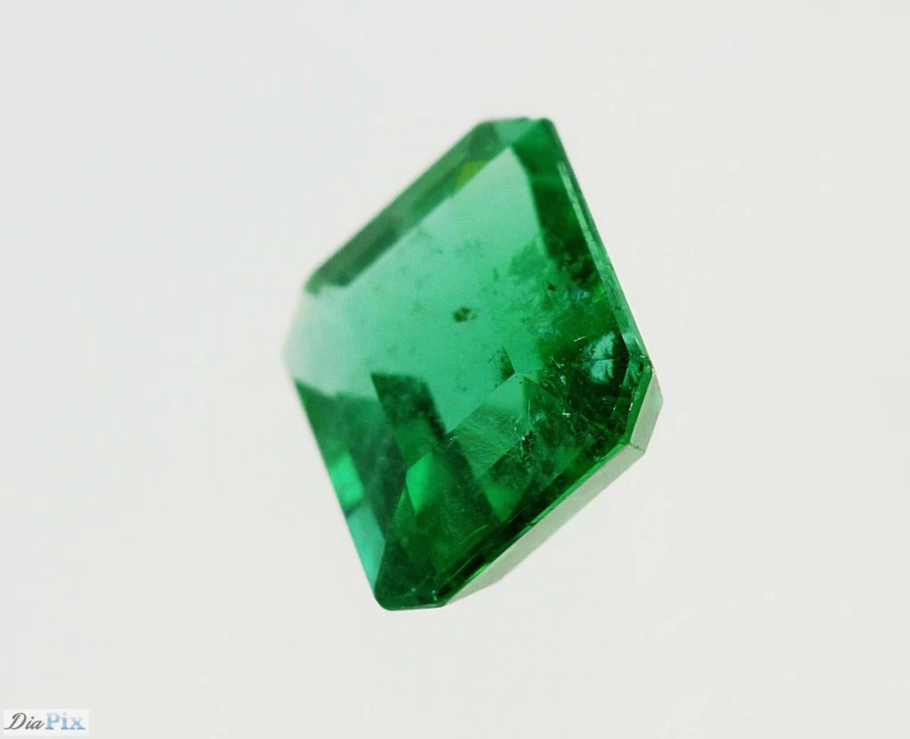 Certified Vivid Green Emerald In New Condition For Sale In Antwerpen, BE