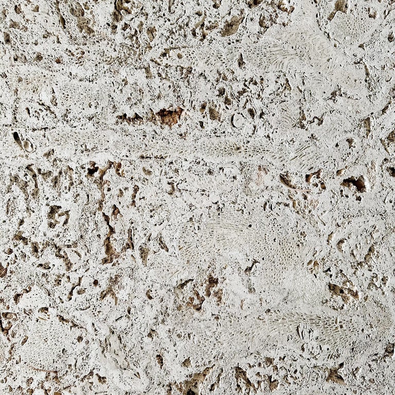 Cerused Oak and Coral Coquina Stone Coffee Table For Sale at 1stDibs