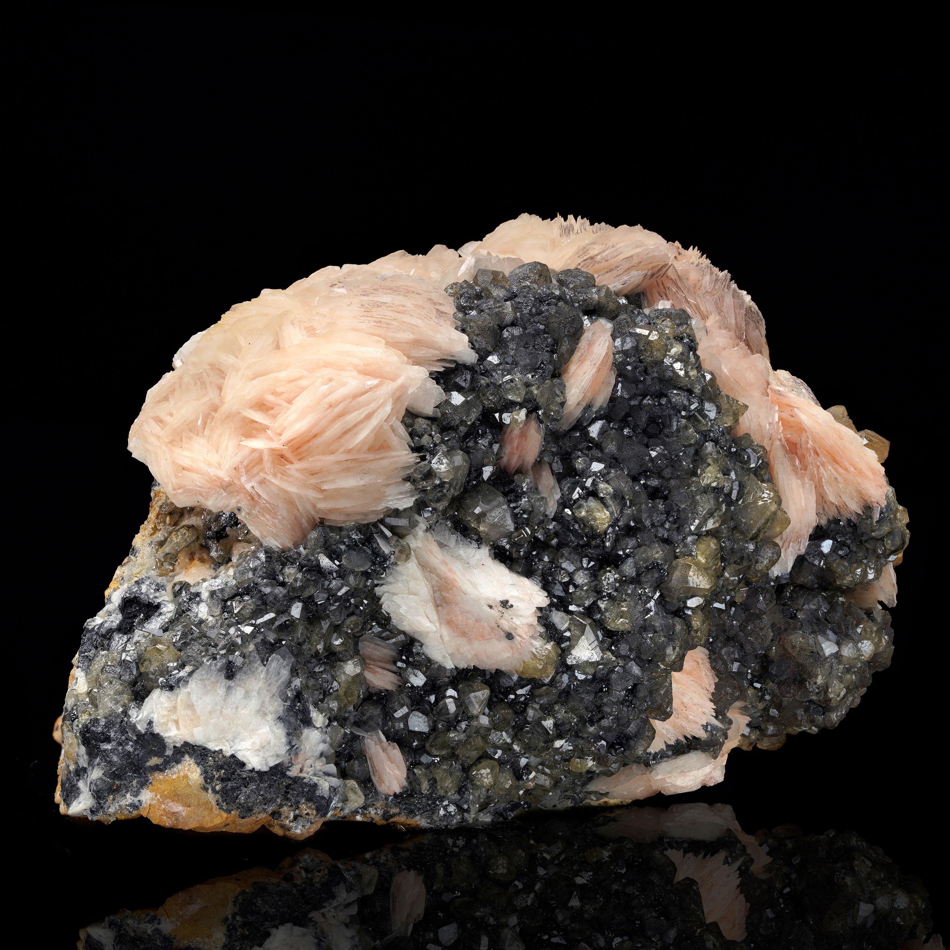 This exquisite cerussite and barite specimen from Morocco features a striking contrast of soft pink barite blades against dark, lustrous cerussite crystals. The intricate formations and color variations create a visually captivating piece, ideal for