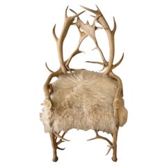 Silla Escultural Cervo Bianco con Estructura de Madera de Haya
