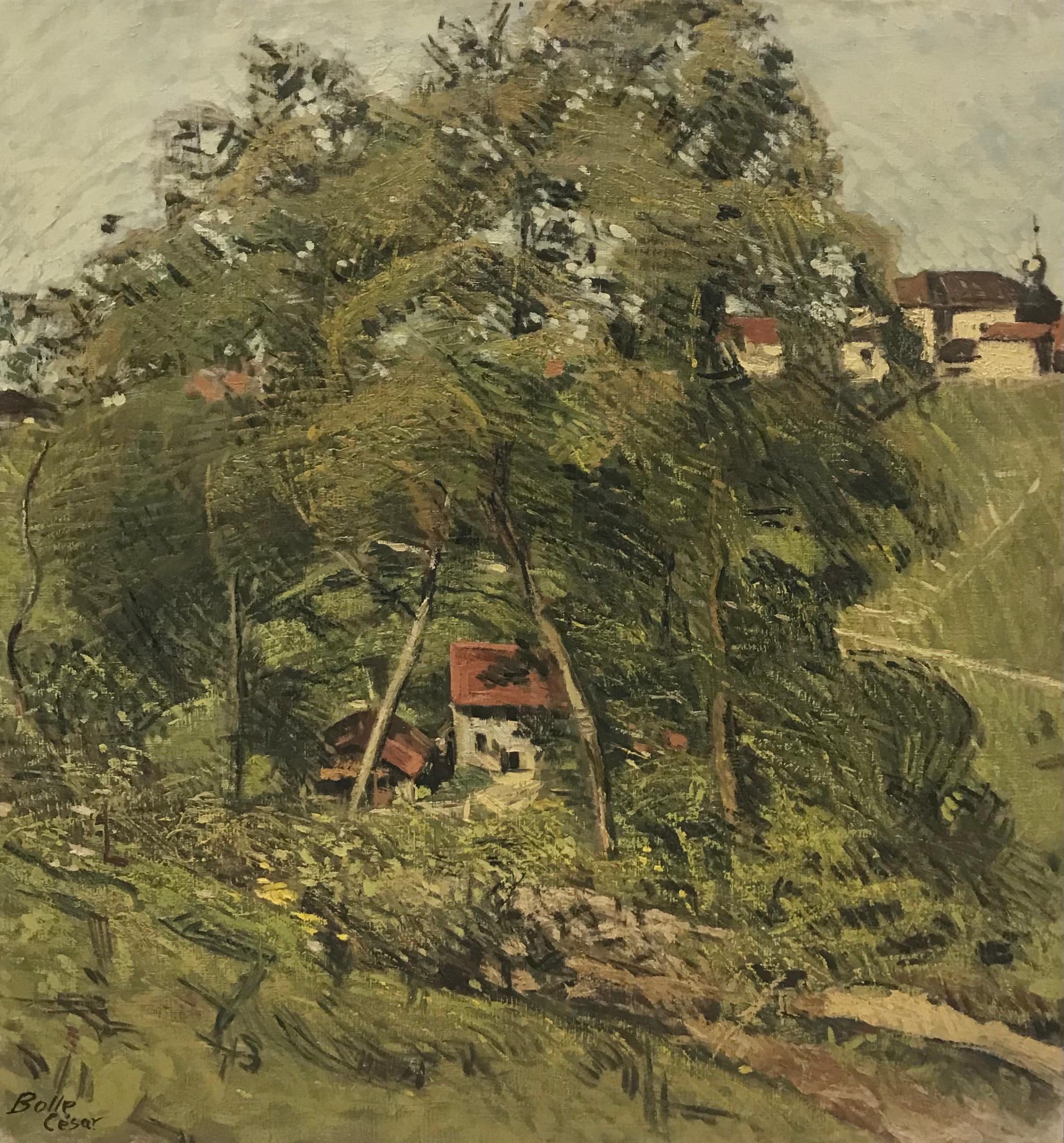 House seen from above by César Alphonse Bolle - Oil on canvas 64x68 cm 