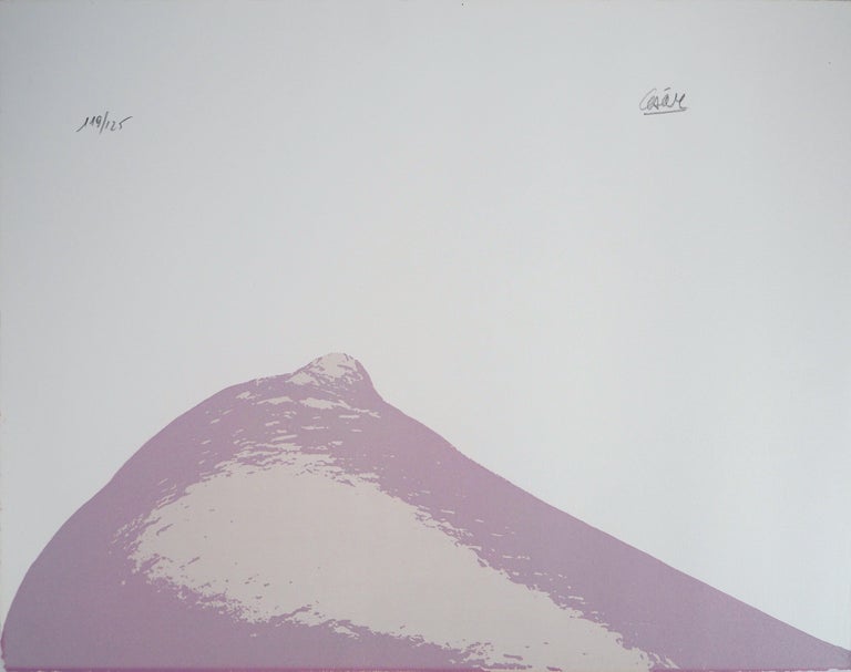 César Baldaccini - Cesar : The Breast - Original Lithograph, Hand ...