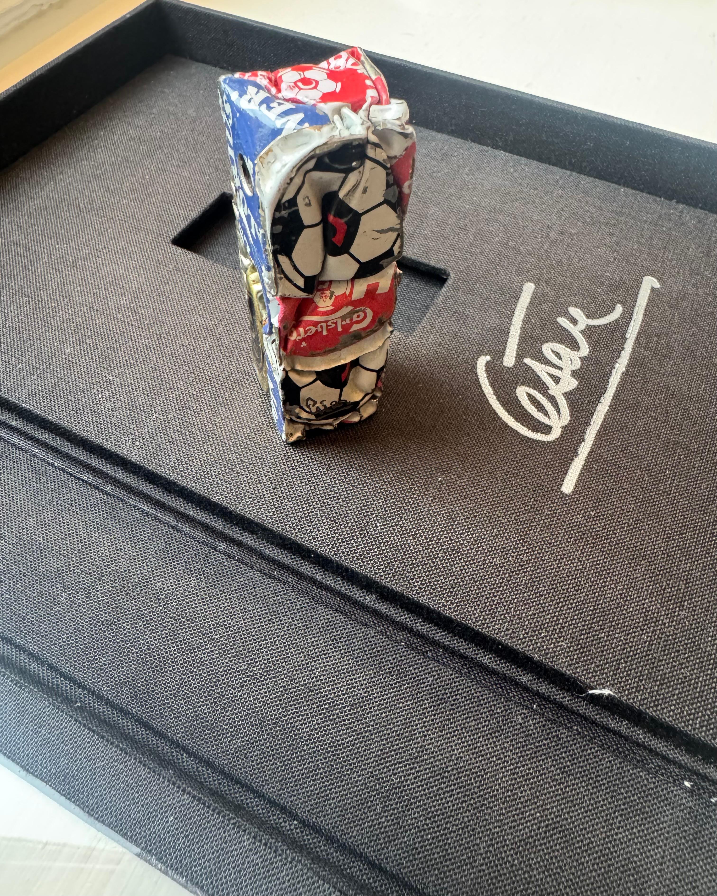 Acquistato direttamente dall'artista.  
Firmato dall'artista.   
Spedizione gratuita in tutto il mondo. 

César Baldaccini (1921 - 1998) è uno dei grandi scultori del XX secolo. Da giovane si schierò a favore di un'arte saldamente ancorata alla