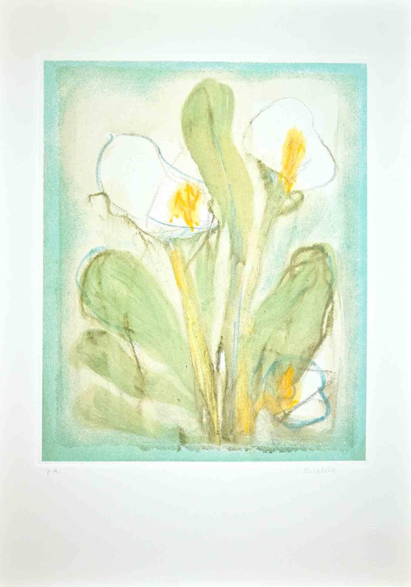 The calla lilies  is an original colored etching and aquatint print on white paper realized by Cesare Mirabella.

hand-signed in pencil on the lower right, Artist's proof.

Good conditions.

The calla lilies is created through harmonious and