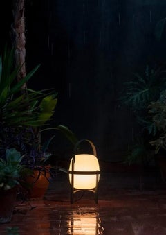 Cesta Outdoor by Miguel Milá for Santa & Cole