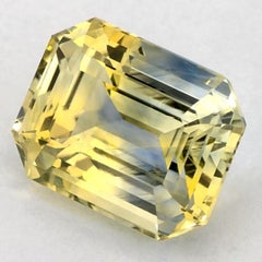 Gemma sciolta di Ceylon 4.50ct Nature Yellow Sapphire, trattata termicamente