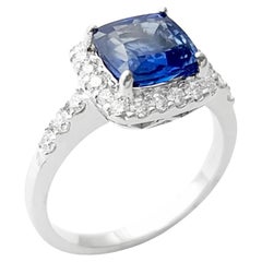 Ceylon Blue Sapphire with Diamond Ring set in 18K White Gold Settings