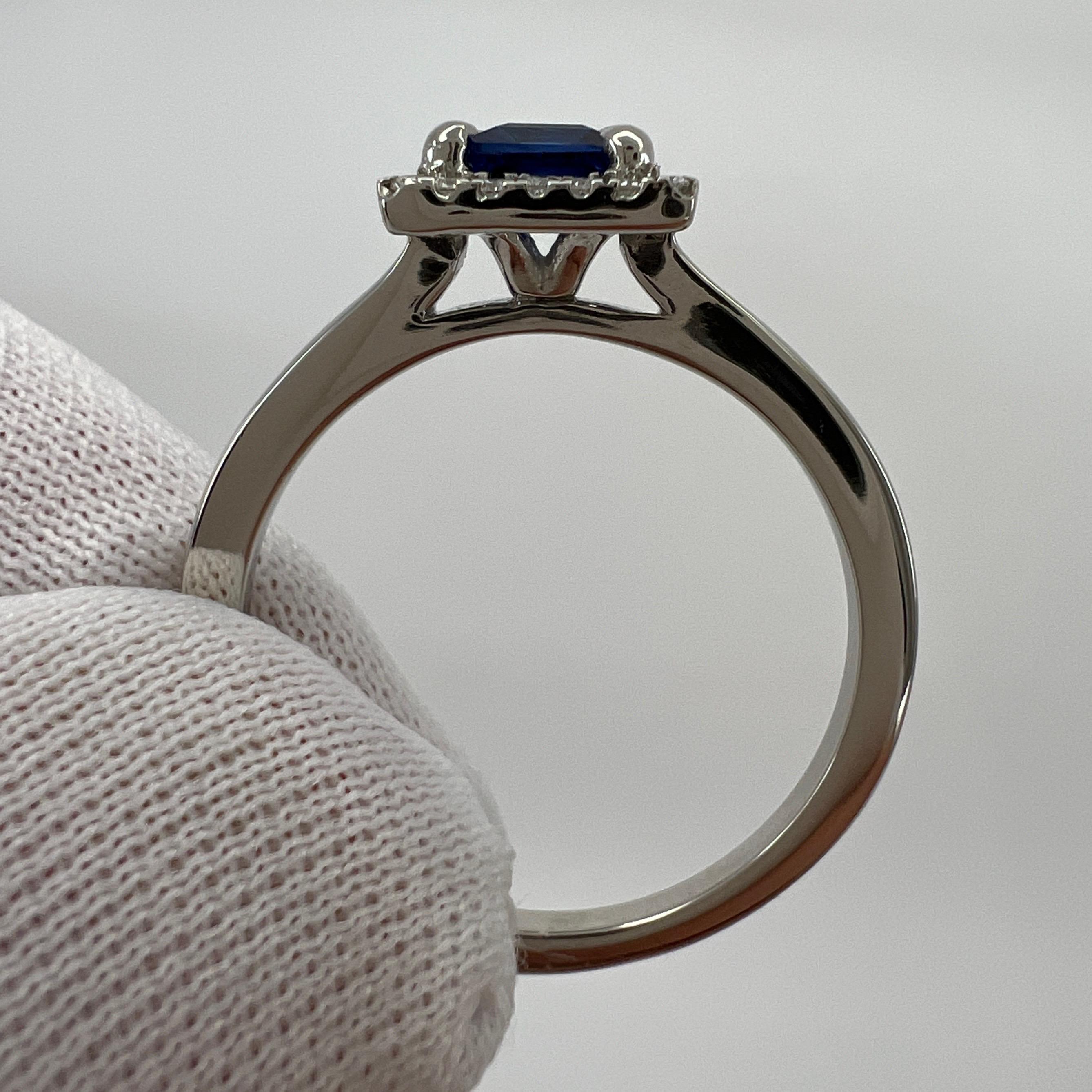 Women's or Men's Ceylon Cornflower Blue Sapphire & Diamond Princess Square Cut Platinum Halo Ring For Sale