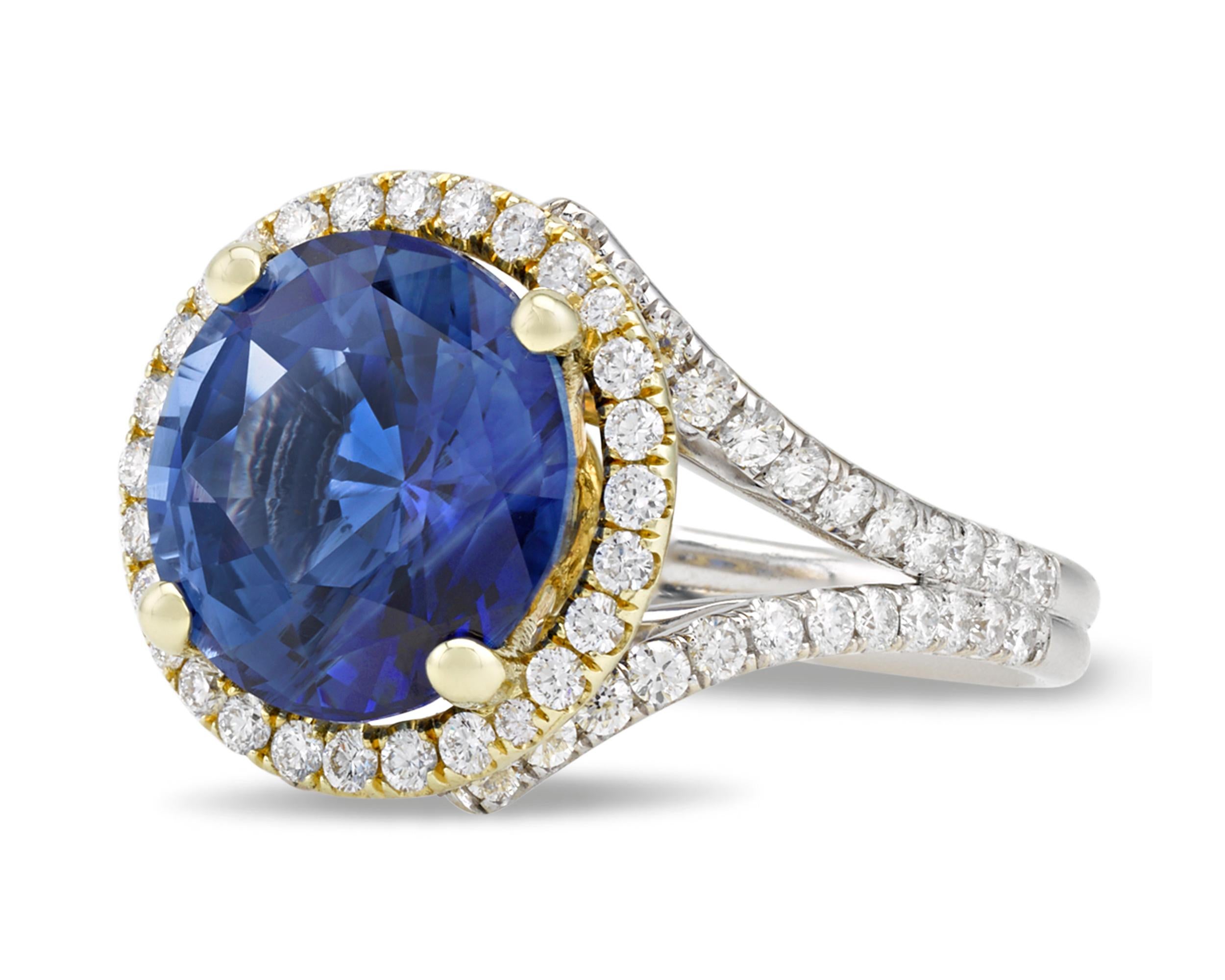 An exceptional Ceylon sapphire exhibiting a stunning cornflower blue hue is at the center of this eye-catching ring. The rare gemstone boasts 5.65 carats, and its round brilliant cut perfectly displays its extraordinary color. A halo of white