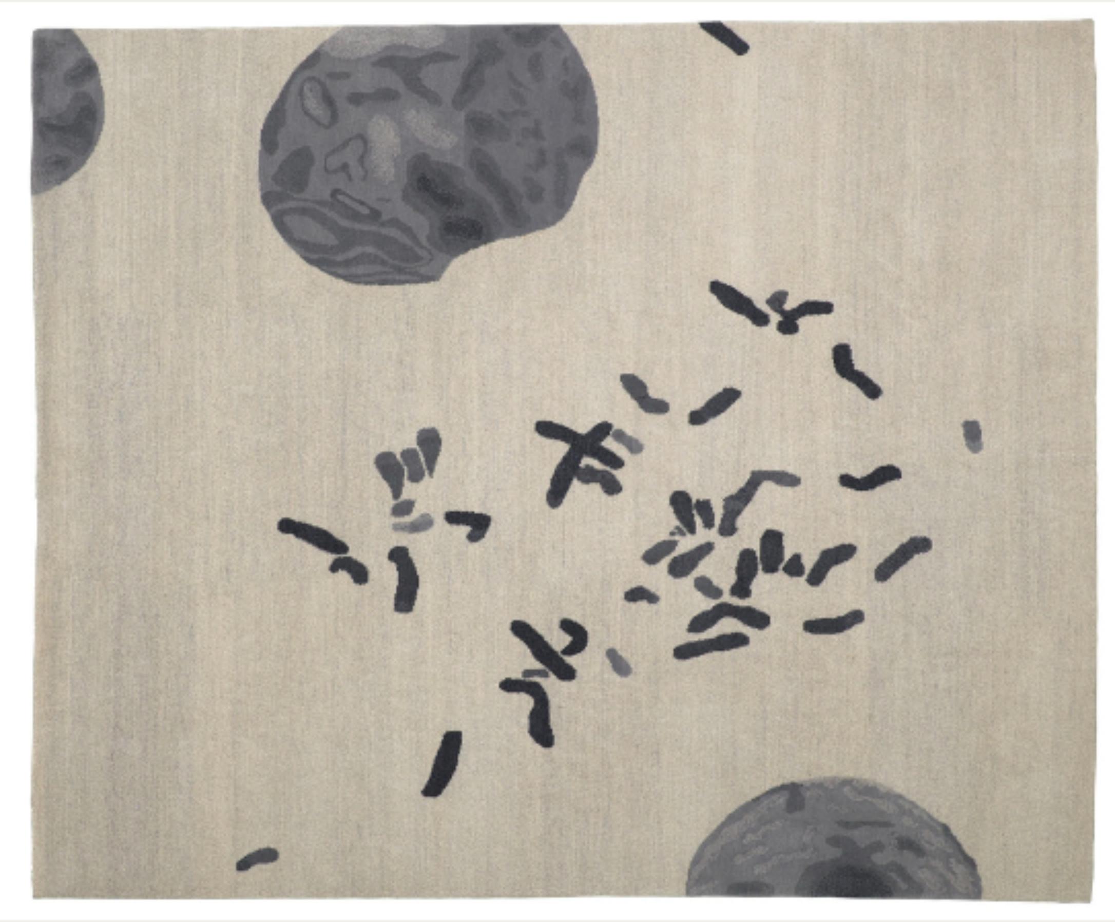 Chromosome CF P. 28D par Caturegli Formica
Dimensions : L 220 x L 180 cm
Matériaux : Laine

Les tapis en tant qu'informations approfondies

Les tapis sont des articles très courants. Mais on n'a jamais vraiment su si leurs décorations, tissées et