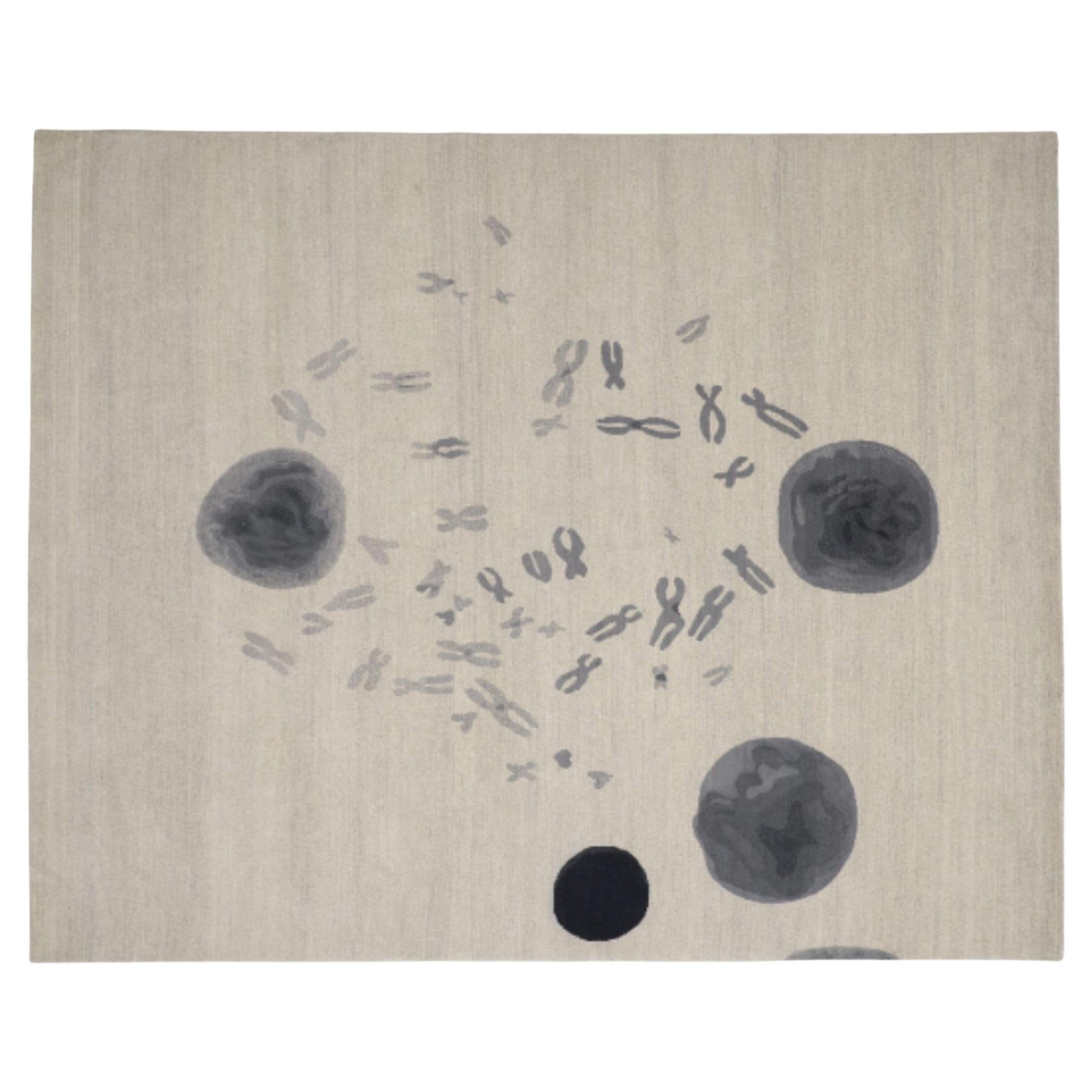 CF Chromosome P. 5YD von Caturegli Formica