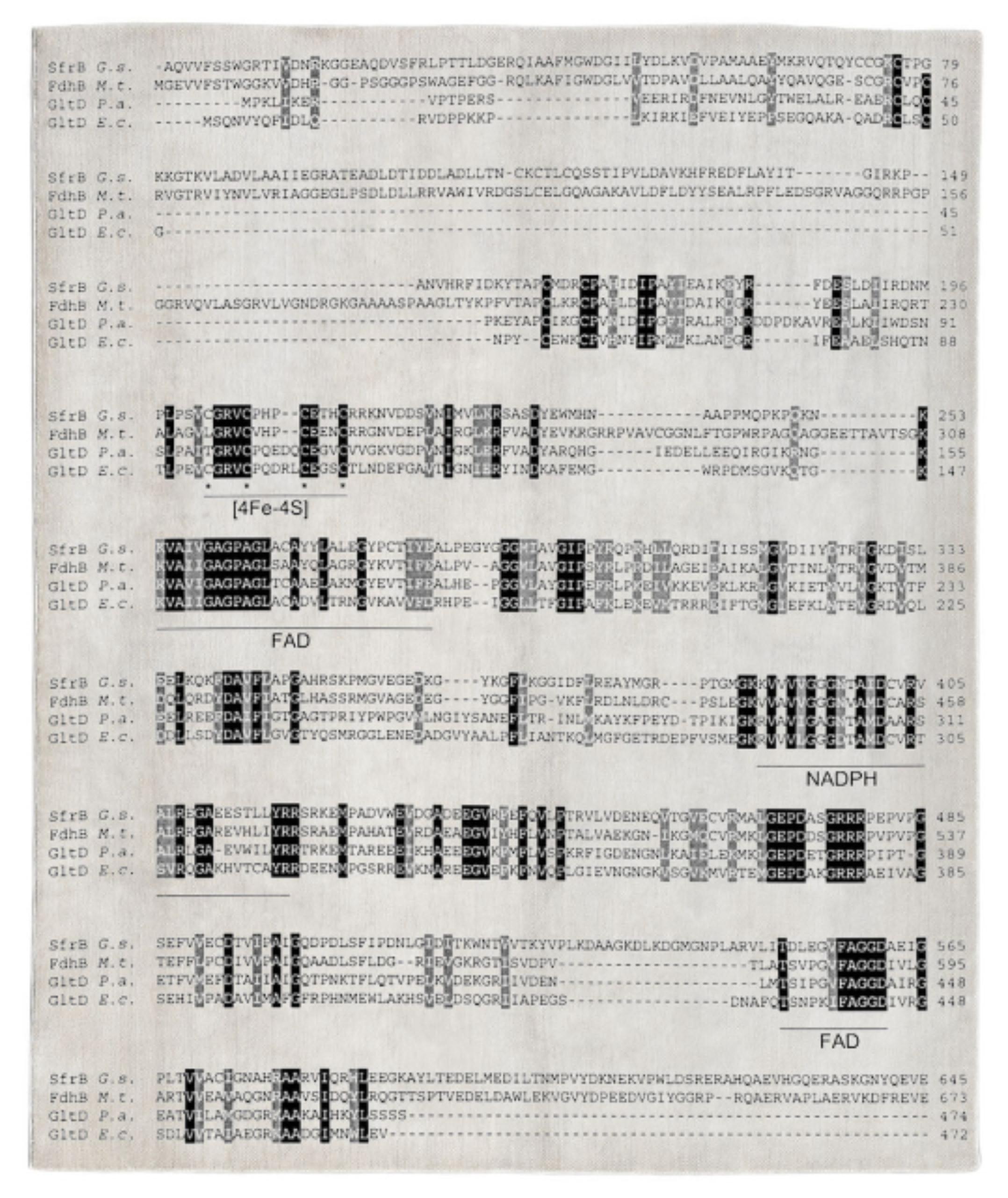 CF V9 von Caturegli Formica
Abmessungen: B 310 x L 260 cm
MATERIALIEN: Wolle

1989-90 von Elios Palmisano für die Sammlung/Ausstellung Tappeti e Arazzi produziert


Biographische Notizen

Beppe Caturegli (1957) und Giovannella Formica (1957-2019)