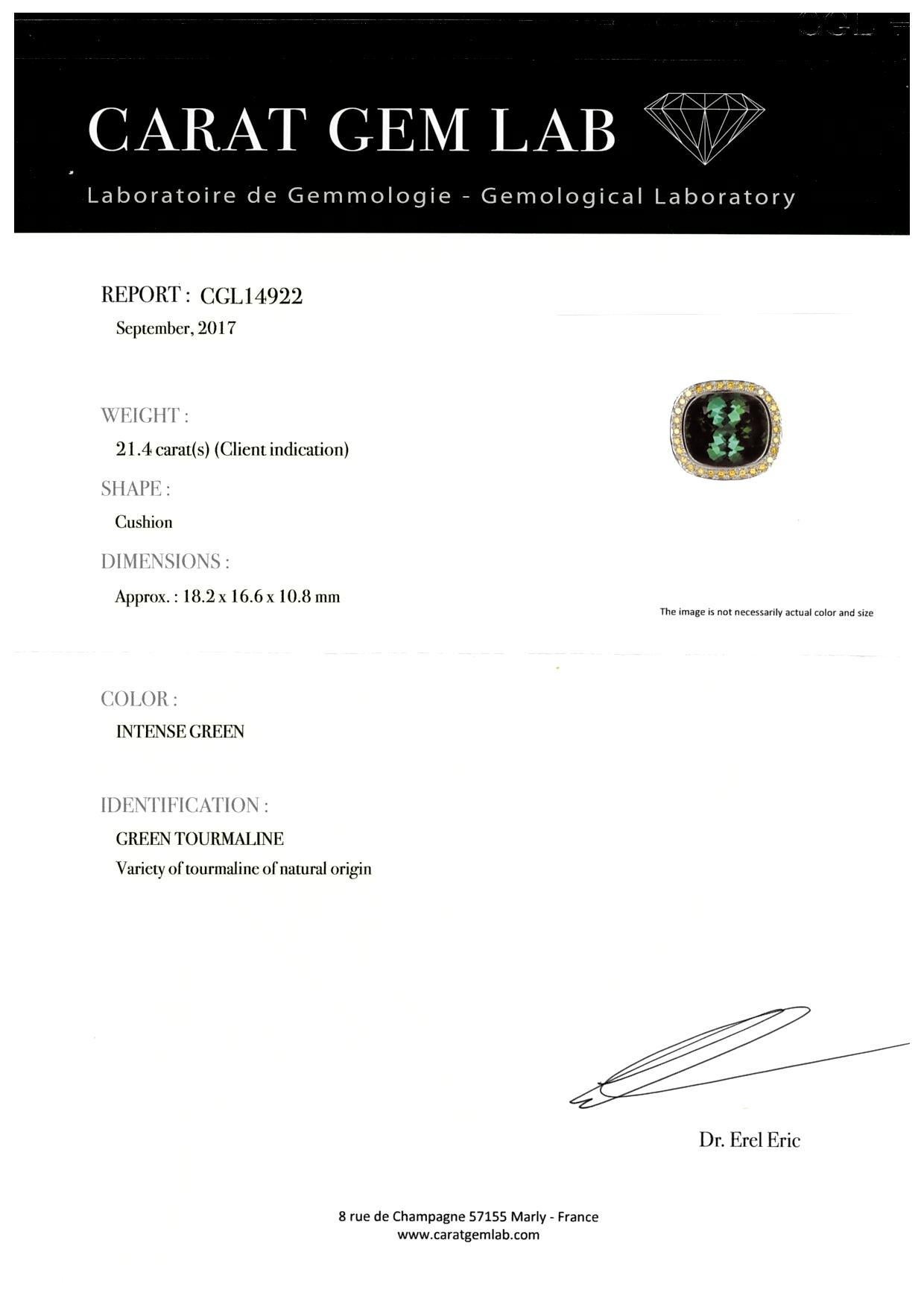 18 Karat Weißgold Ring 21,4 Karat natürlicher Turmalin 137 Diamanten 3,30 Karat CGL zertifiziert im Angebot 8
