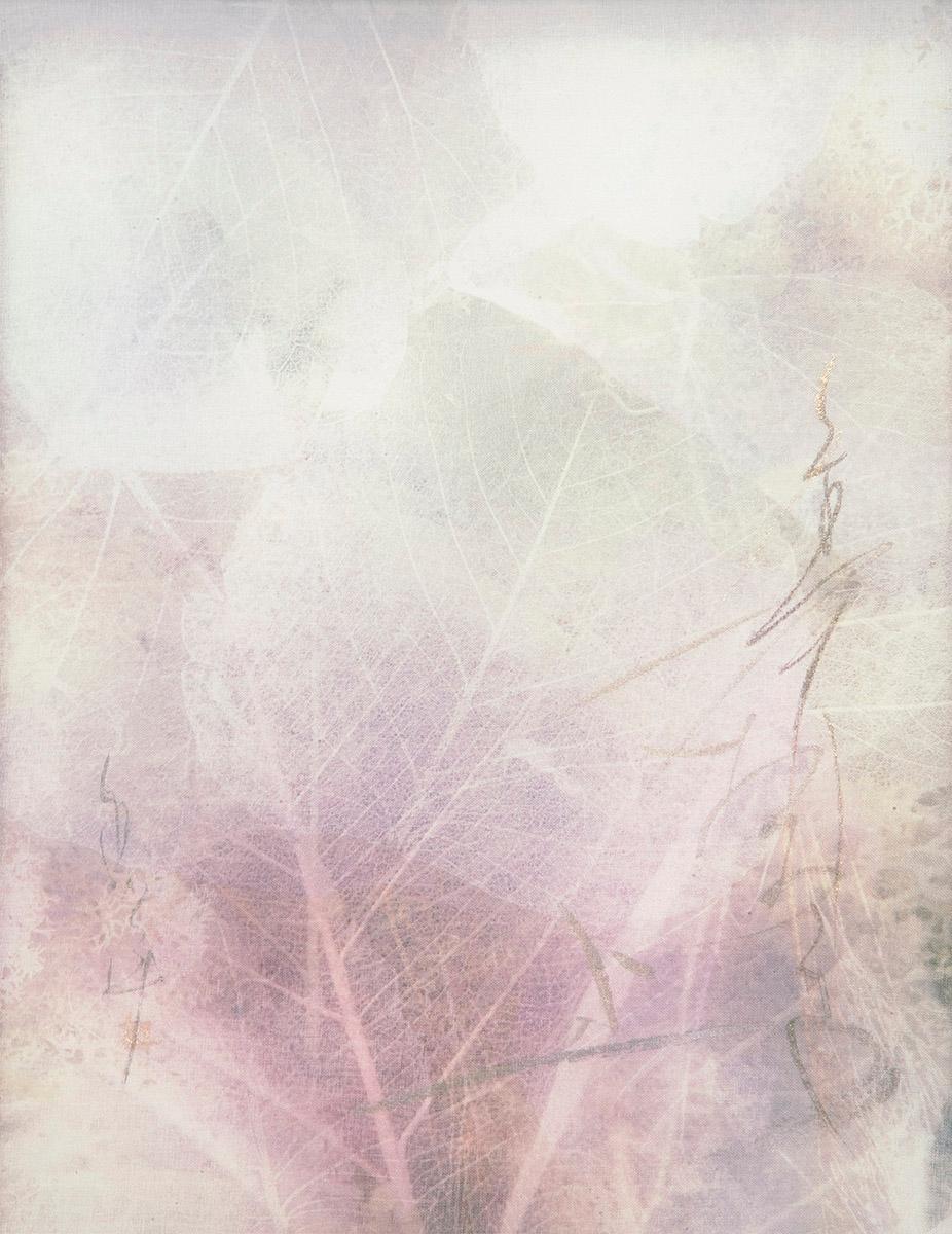 Chaco Terada Abstract Photograph - Veil for the Memories 