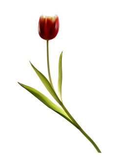 Chad Kleitsch - Untitled # 45, Photography 2002, Printed After