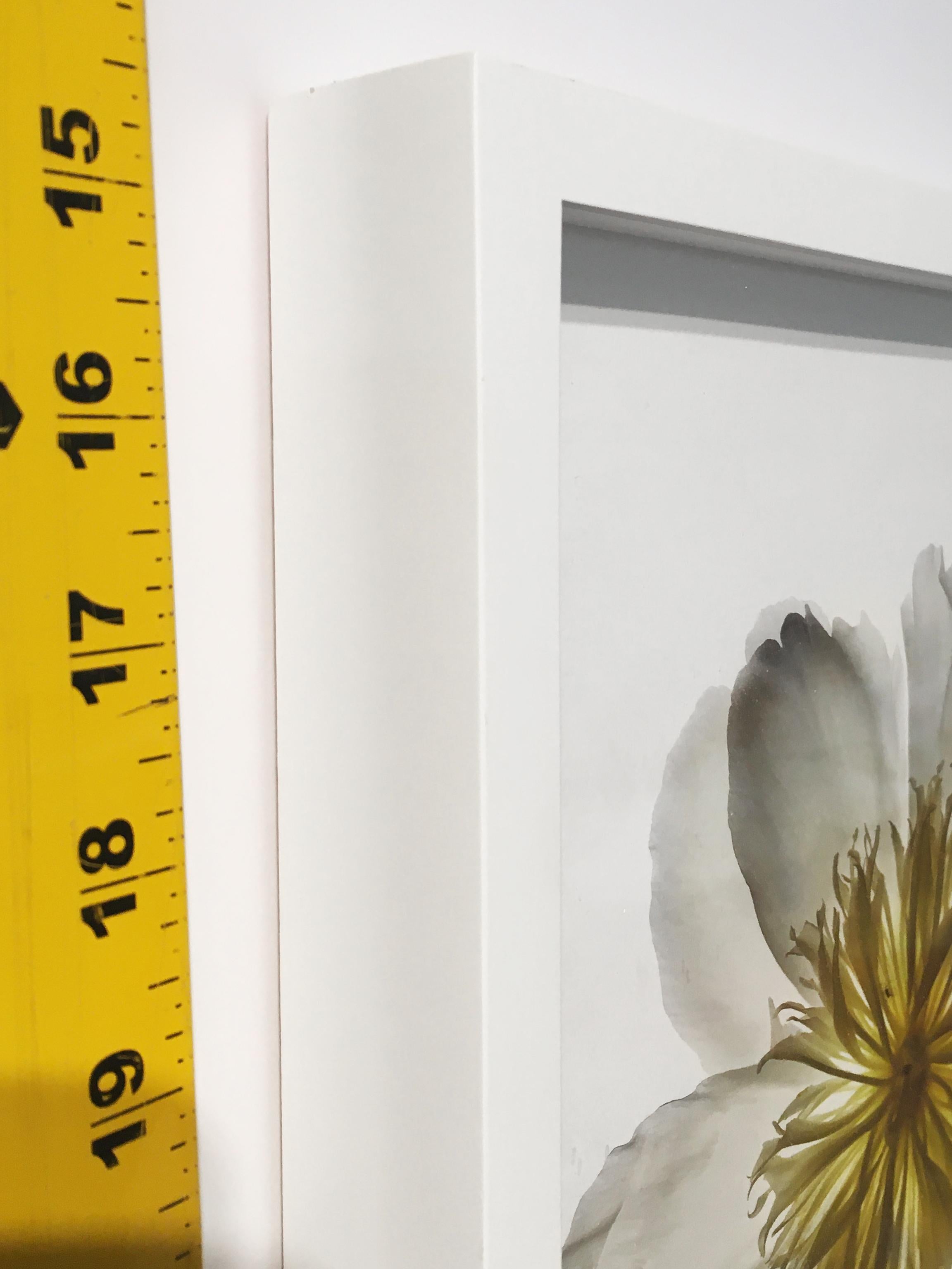 No. 31  (Photographie de nature morte encadrée d'un iris blanc) en vente 2