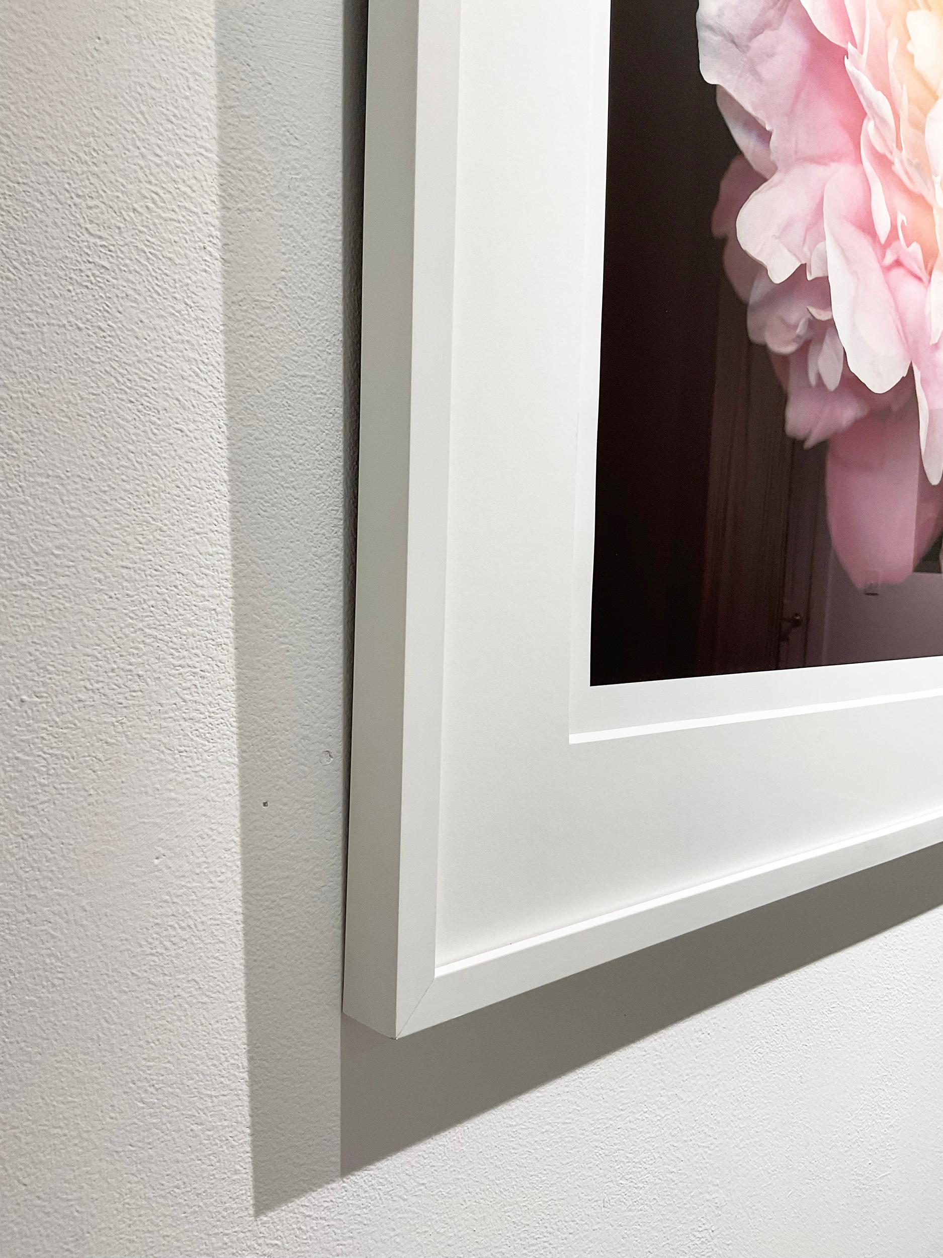 No. 47 (Framed Flower Still Life Photograph of a Pink Peony on Black)  For Sale 3