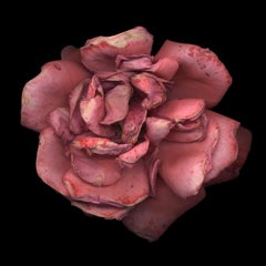 Untitled Flower # 24 (30" x 40")