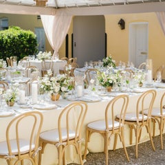 Chair Bent Wood Contract Bistro Chair