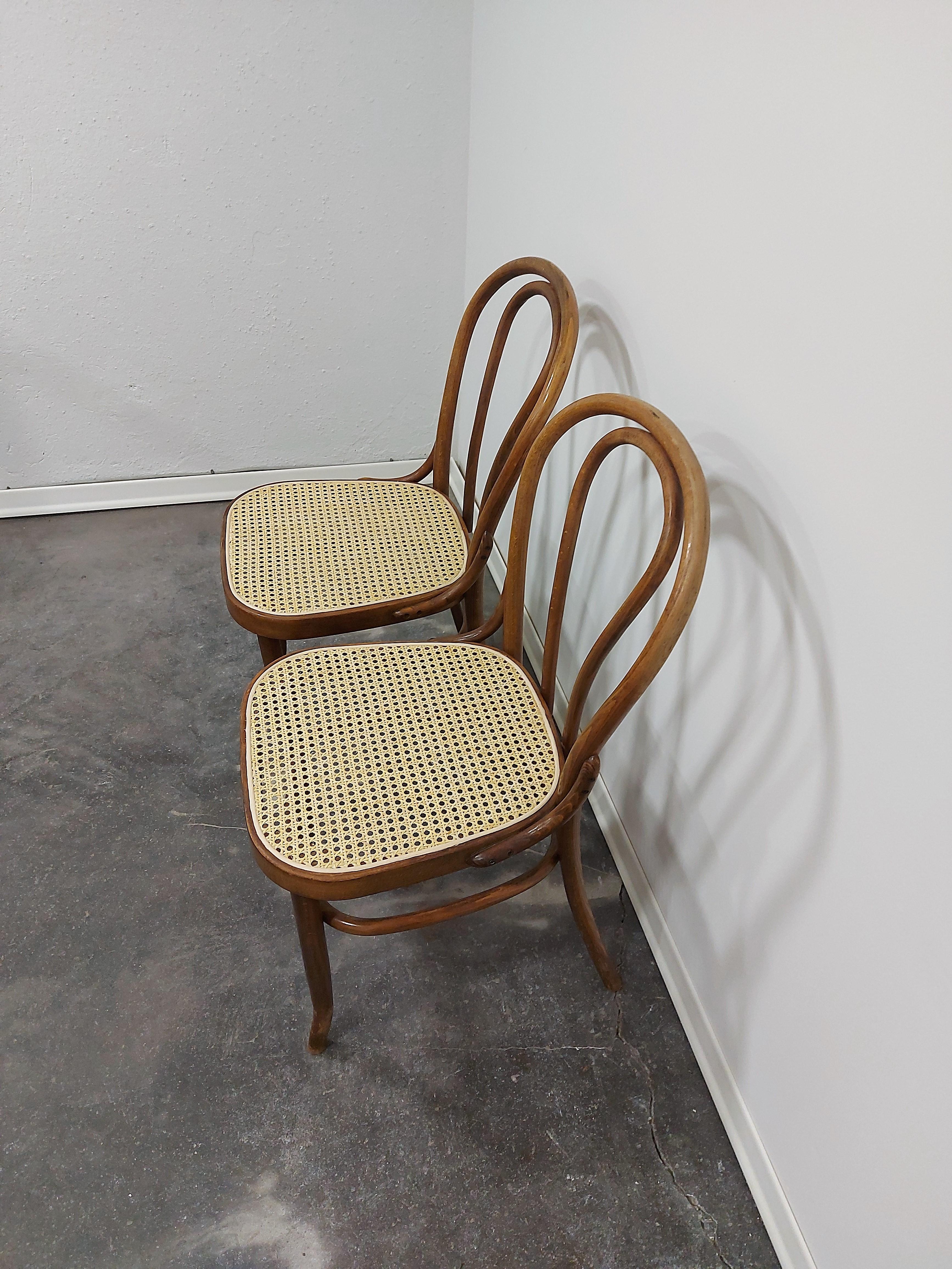 Slovenian Chair, Bentwood 1960s, 1 of 3 For Sale