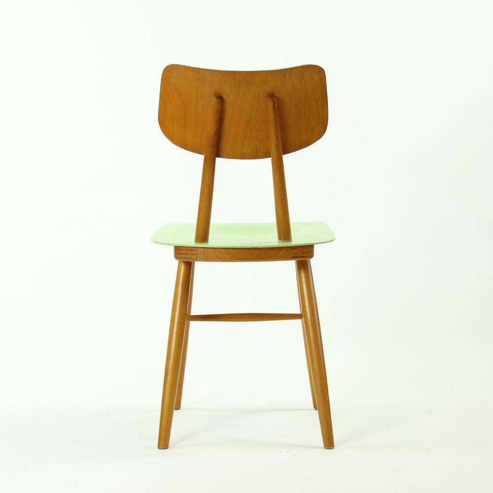 Wood Chair in Green and Cream by TON, Czechoslovakia, 1960s