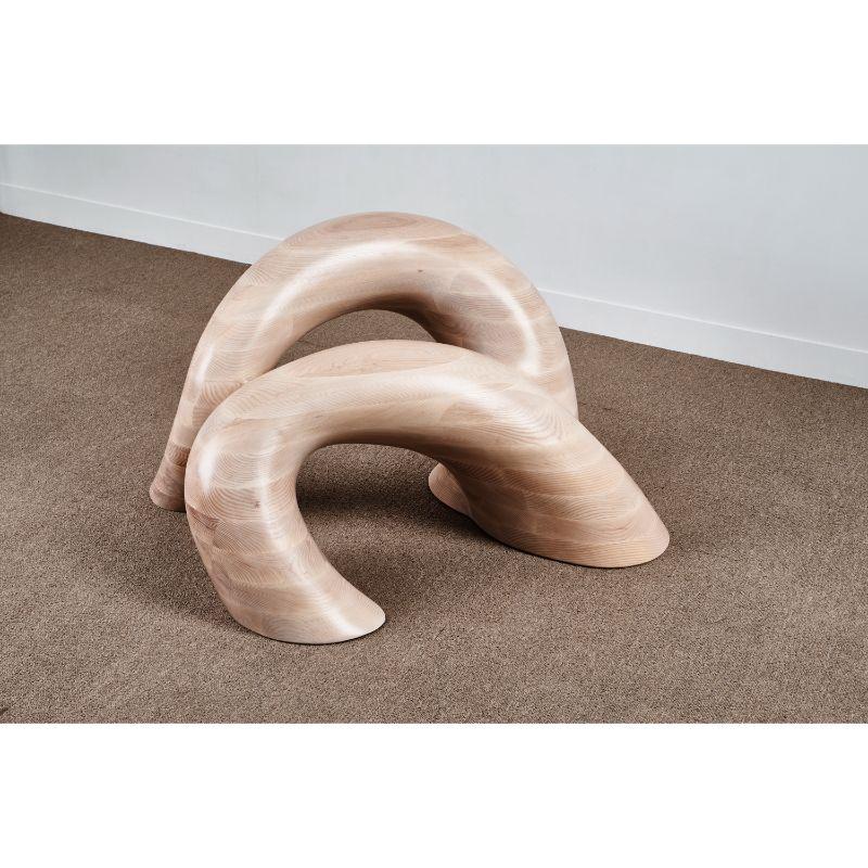 Chair, Marine Biology series by Son Tae Seon ( 2021 )
Dimensions: D 73 x W 93 x H 55 cm
Materials: Ash wood

Son Tae Seon tries to capture the power and energy of creature in furniture (sculpture). The early works show the power created by the