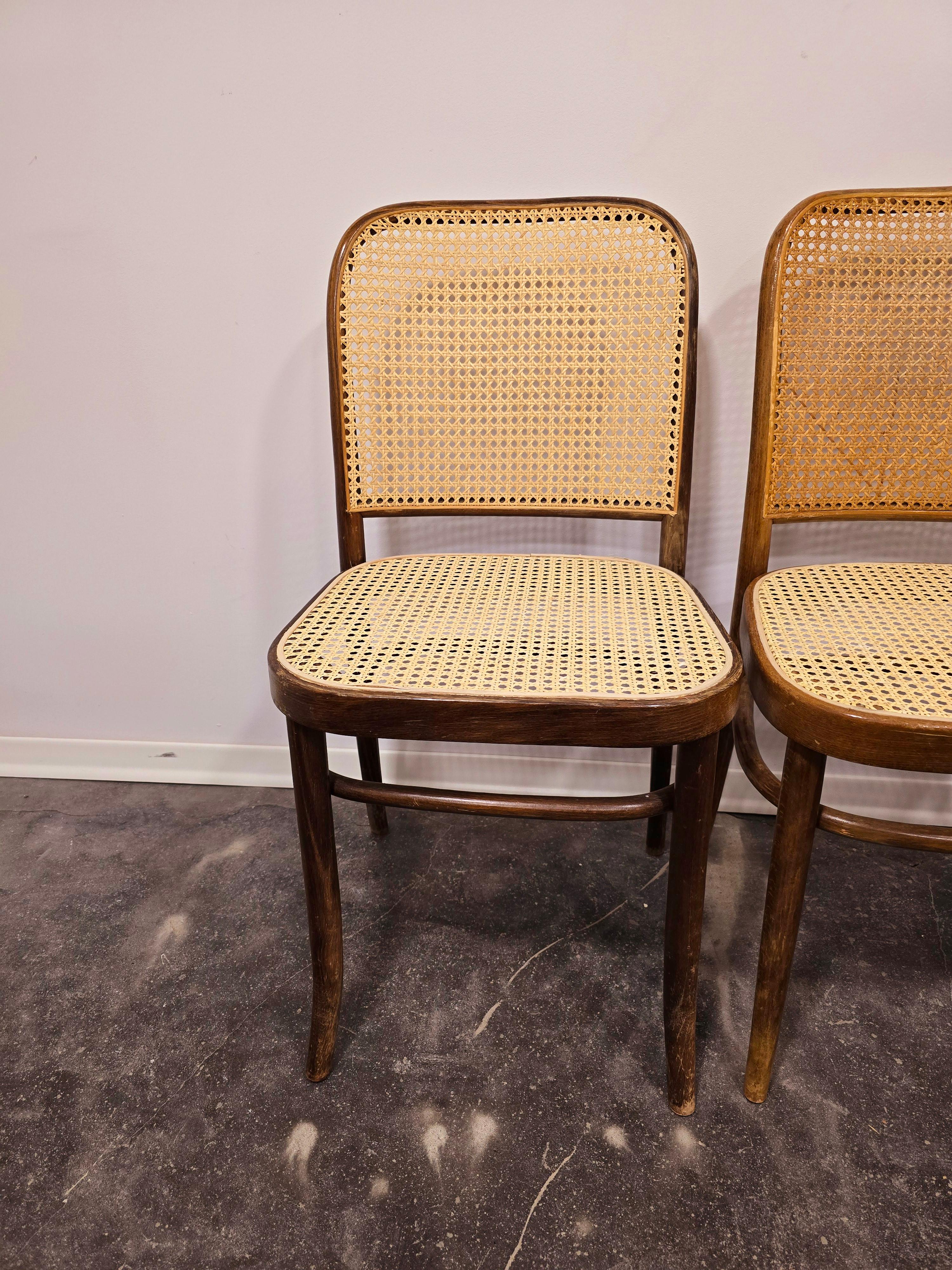 Chair - Prague chair, no. 811 In Good Condition In Ljubljana, SI