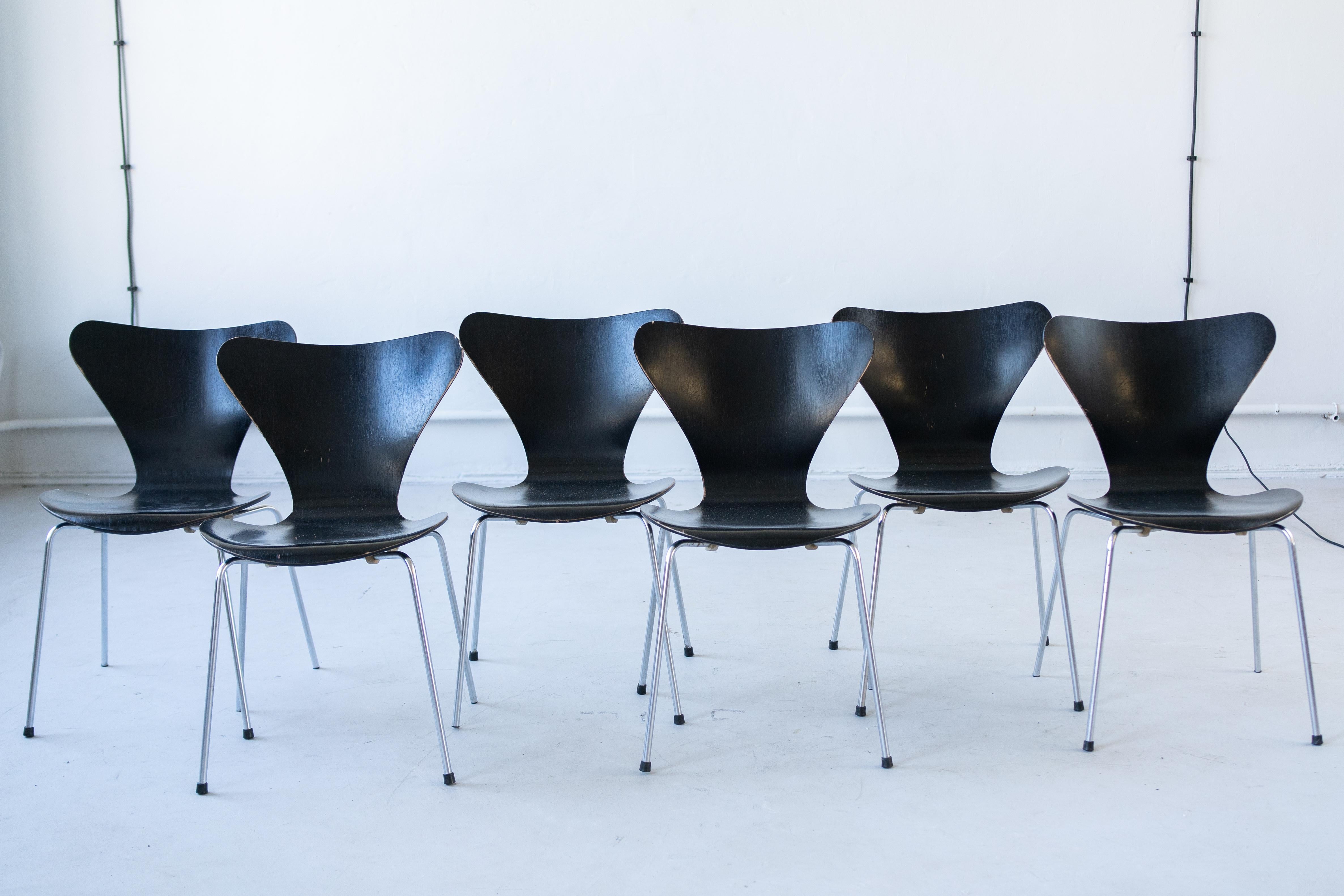 Danish chairs series 7  designed by Erne Jacobsen in 1955 , produced by Fritz Hansen, 
Very versatile, clean lines,.
 Thanks to the special tecnique used by the producer this chair is very flexible, strong and durable. 
Easy to storage.
We offer a