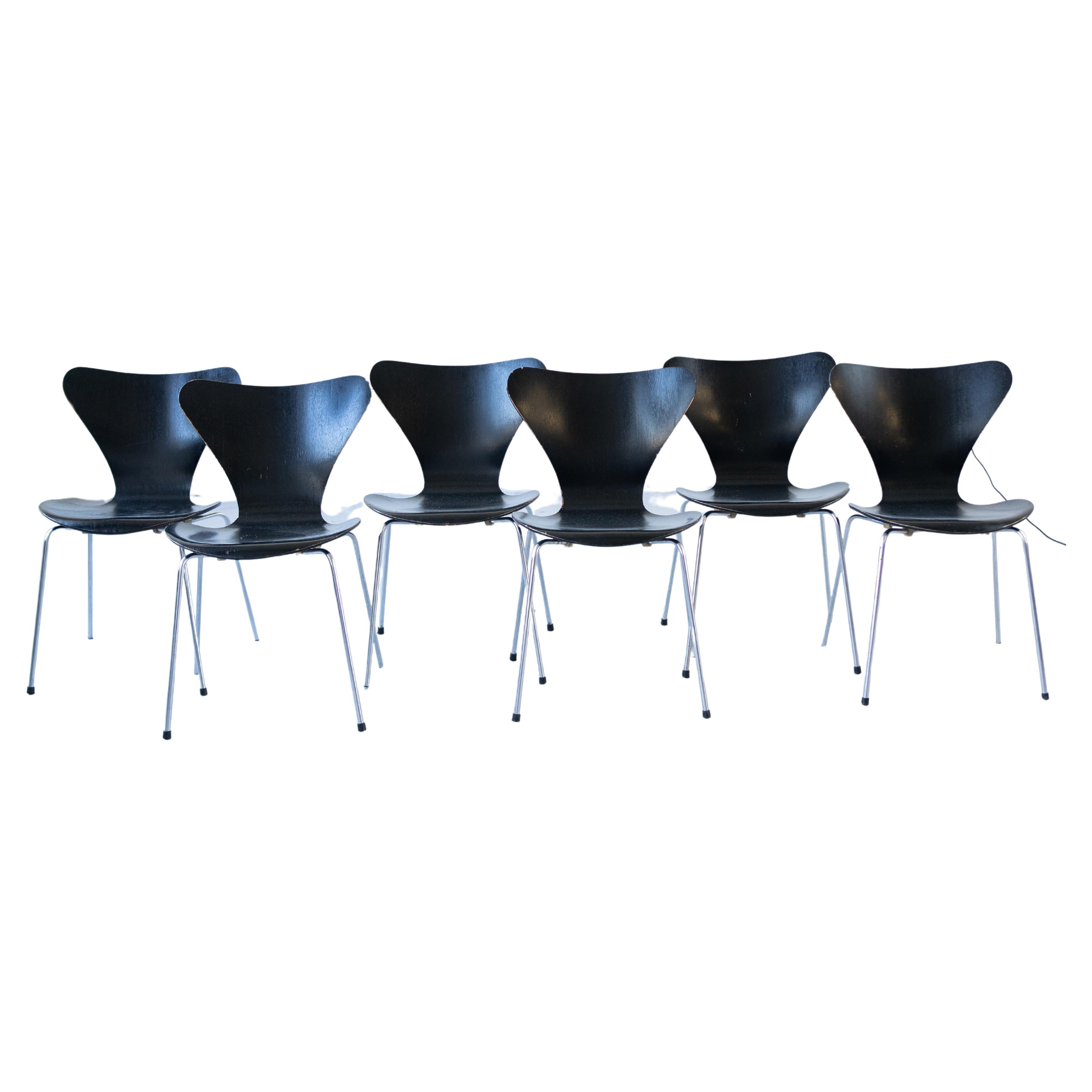 Chaises d'Arne Jacobsen série 7 pour Fritz Hansen , ensemble de 6 chaises en vente
