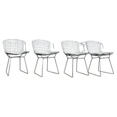 Chairs by Harry Bertoia for Knoll, 1960s, Set of 4