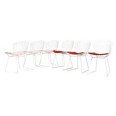 Chairs by Harry Bertoia for Knoll, 1960s, Set of 6