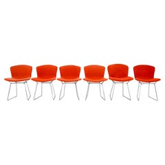 Sedie di Harry Bertoia per Knoll, anni
60, Set di 6