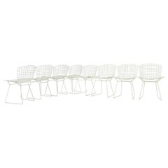 Chairs by Harry Bertoia for Knoll, 1960s, Set of 8