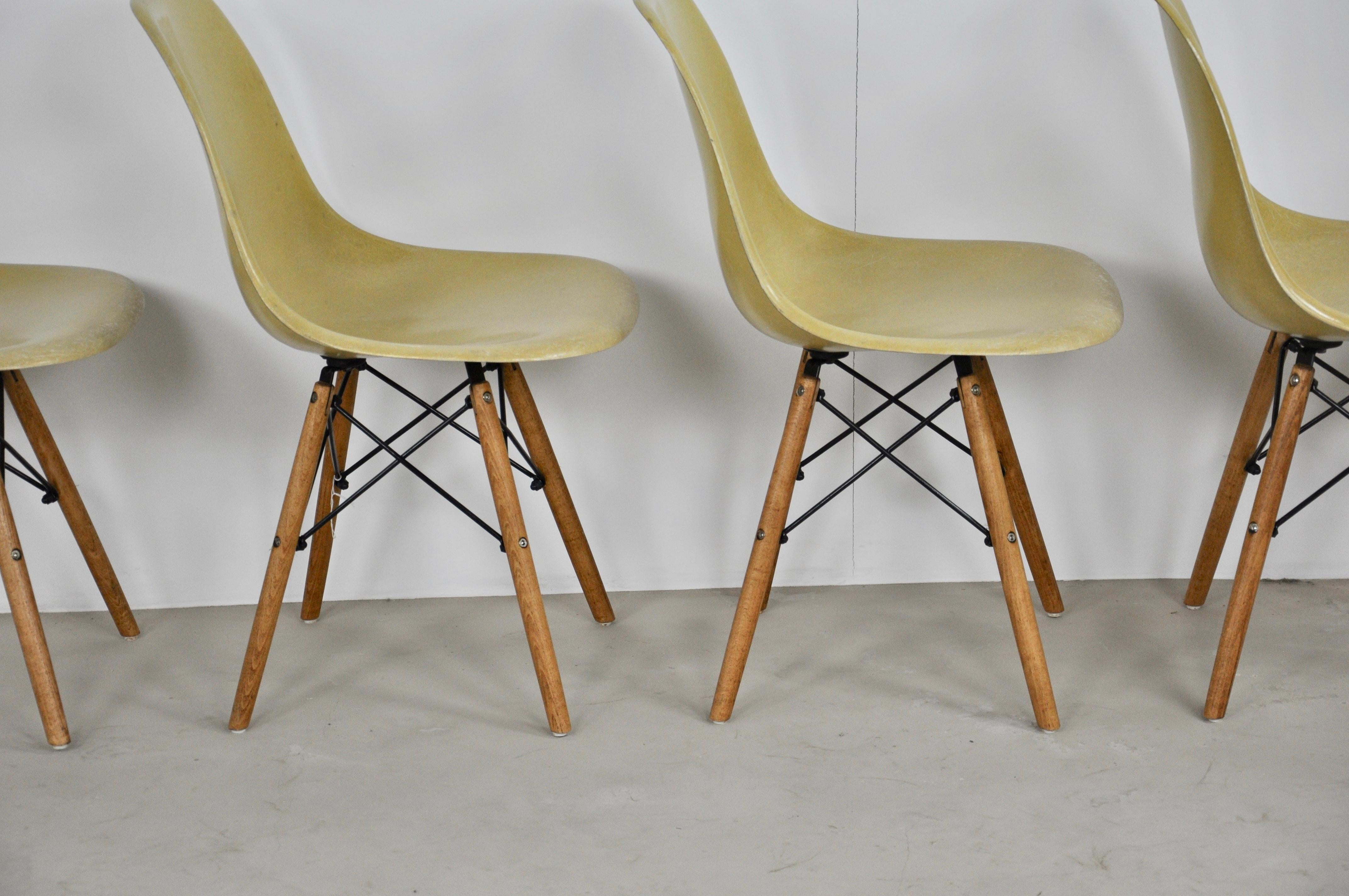 Central American Chairs DSW by Charles & Ray Eames for Herman Miller, 1970s