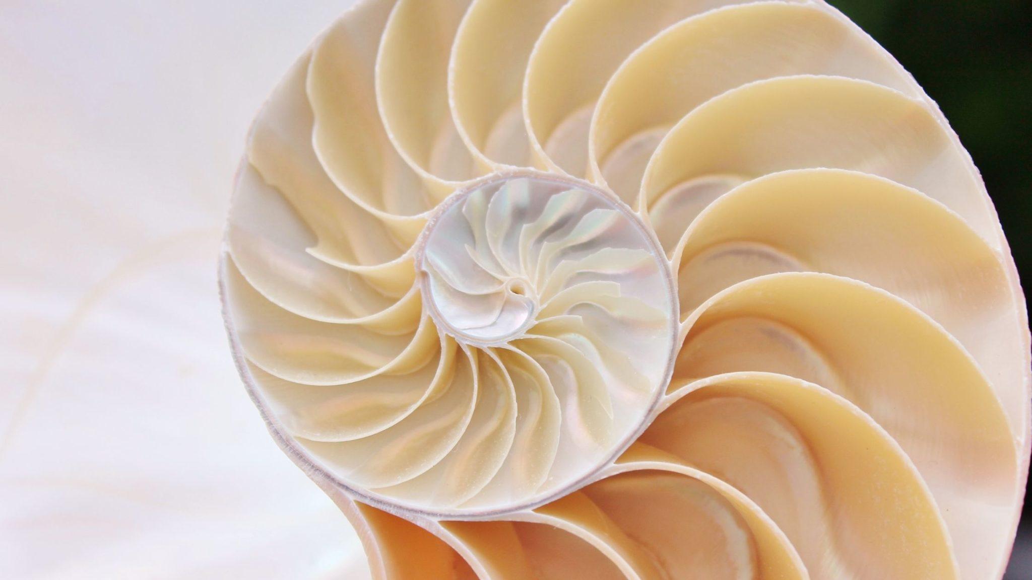 Ciondolo in calcedonio, diamante e mercurio, ciondolo con conchiglia nautilus in vendita 1