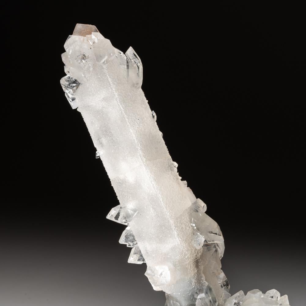 From Nasik District, Maharashtra, India.

Here's a very aesthetic specimen of 2 chalcedony stalactites in an intersecting formation coated in a apophyllite micro crystals with a second generation of gem transparent terminated apophyllite