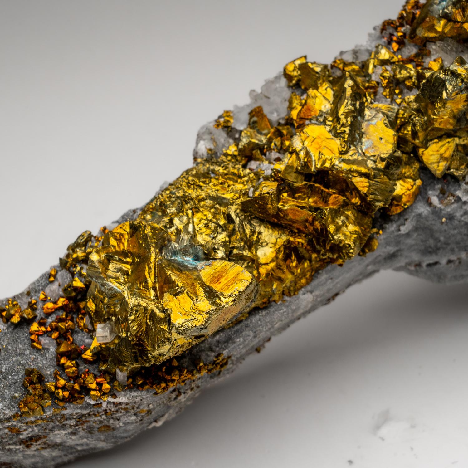 Dalla miniera di Huanggang, Kèshíkèténg Qí, Chifeng, Mongolia Interna, Cina

Sottile lastra di microcristalli di calcopirite metallica giallo brillante su matrice. 

Peso: 4 libbre, Dimensioni: 10 x 3 x 4 pollici
