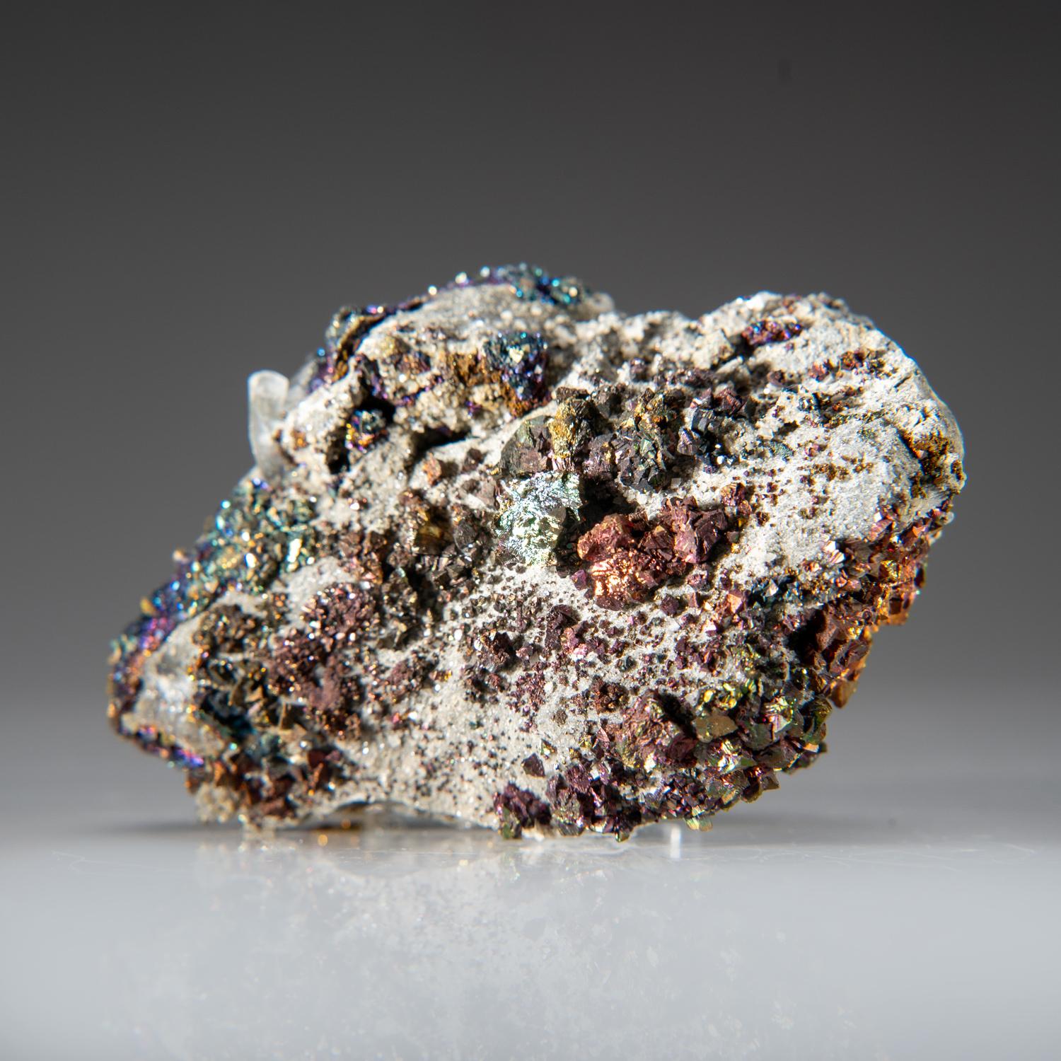 Chalcopyrite on Quartz from Flambeau Mine, Rusk County, Wisconsin, USA In New Condition For Sale In New York, NY