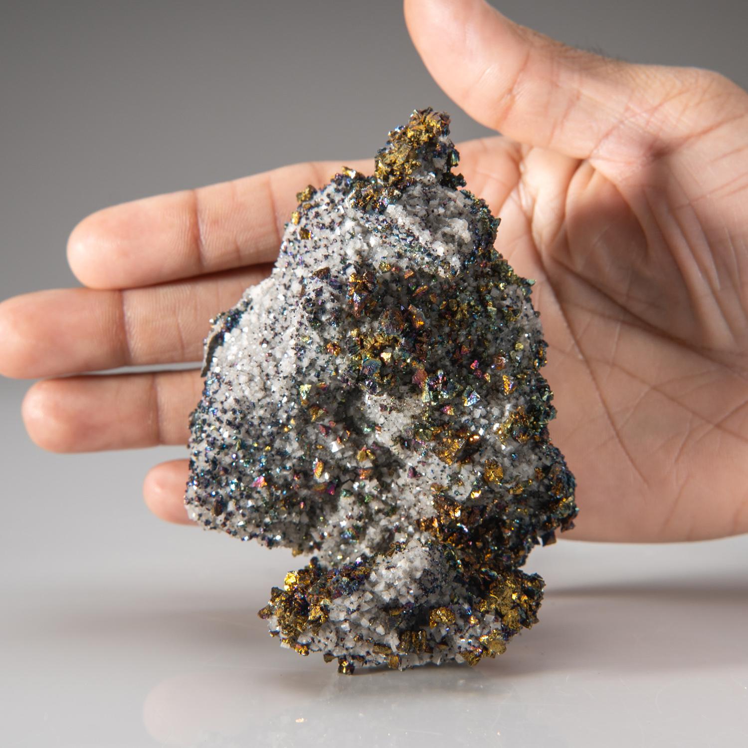 Altro Calcopirite su quarzo dalla miniera di Flambeau, Contea di Rusk, Wisconsin, USA in vendita
