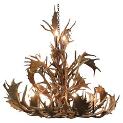 Chalet Elk
Fallow Deer Antler Chandelier by The Peak Antler Chalet Elk
Fallow Deer Antler Chandelier by The Peak Antler