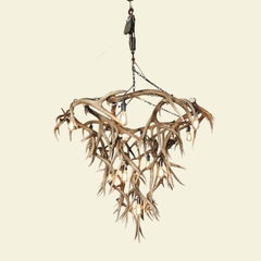 Challenger Point Peak Mule Deer Antler Chandelier by The Peak Antler